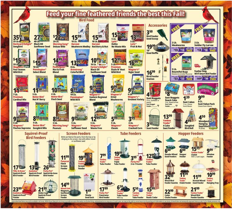 OCEAN STATE JOB LOT weekly ad Oct 8 – Oct 15, 2026 – page 17