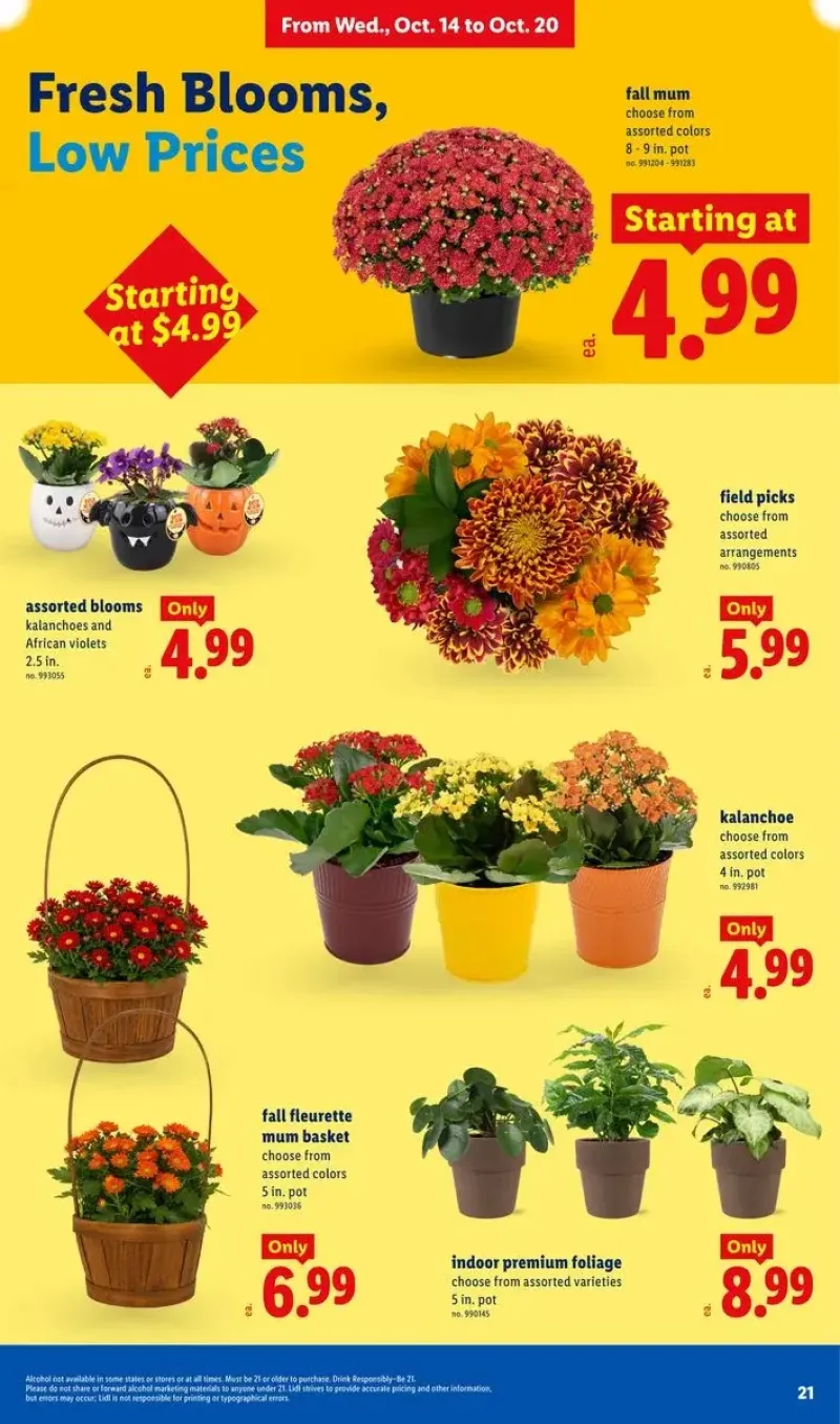 Fresh floral arrangements and potted plants featuring fall mums, kalanchoes, African violets, and premium foliage.