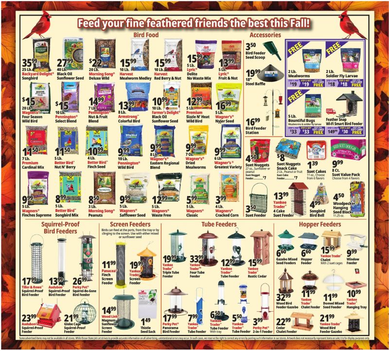 OCEAN STATE JOB LOT weekly ad Oct 15 – Oct 22, 2026 – page 17
