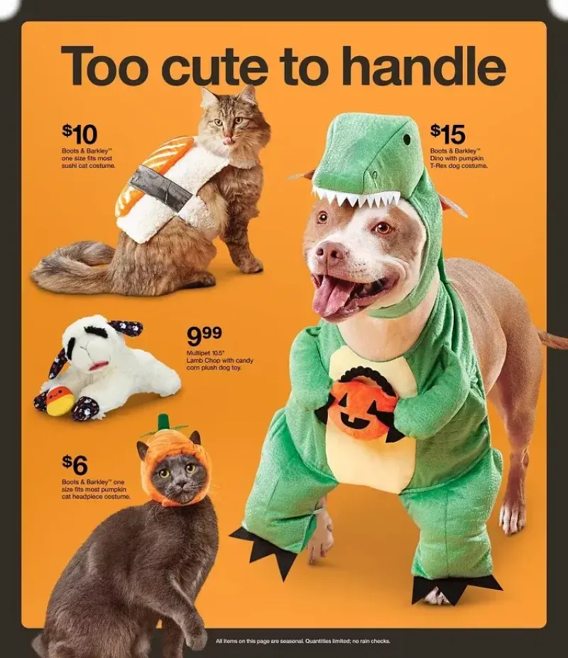 Baby,Pets