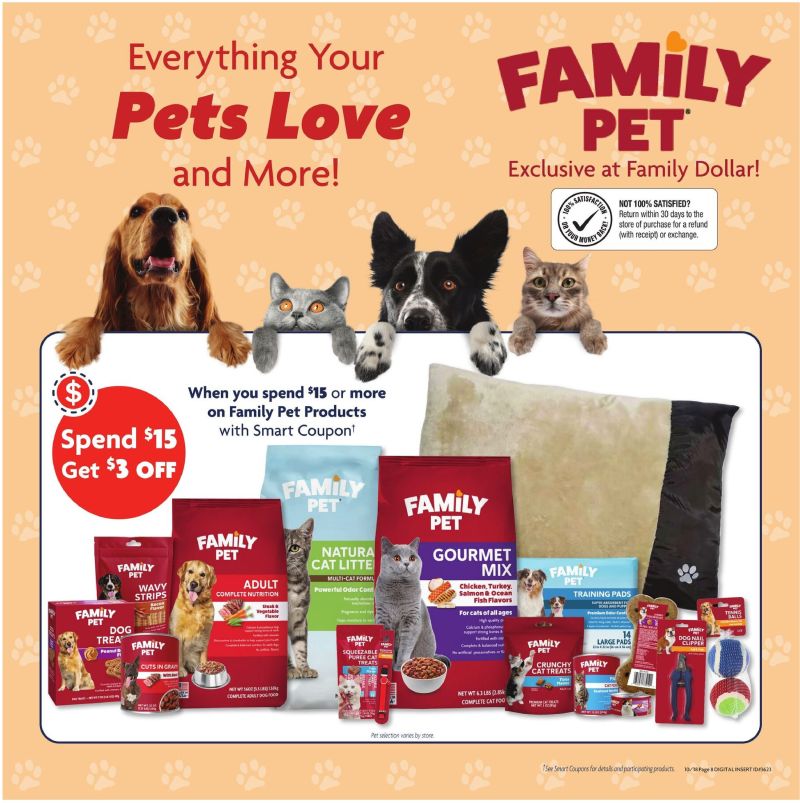FAMILY DOLLAR weekly ad Oct 18 – Oct 25, 2026 – page 11