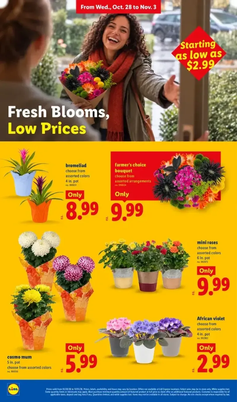Lidl floral deals featuring fresh blooms, bromeliads, farmer's choice bouquets, cosmo mums, mini roses, and African violets.