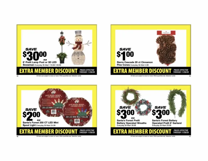 BI-MART weekly ad Oct 26 – Nov 28, 2026 – page 13