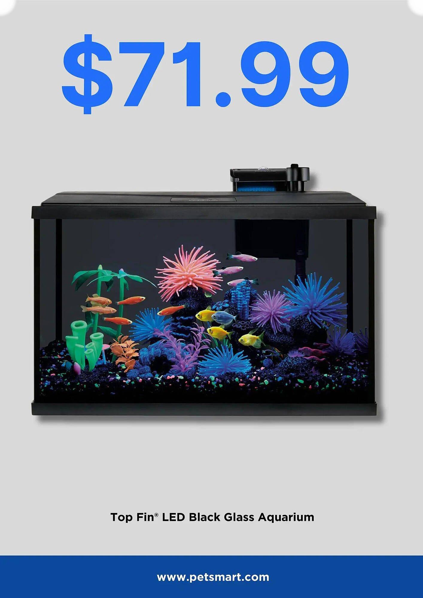  Catalog page 3 image 