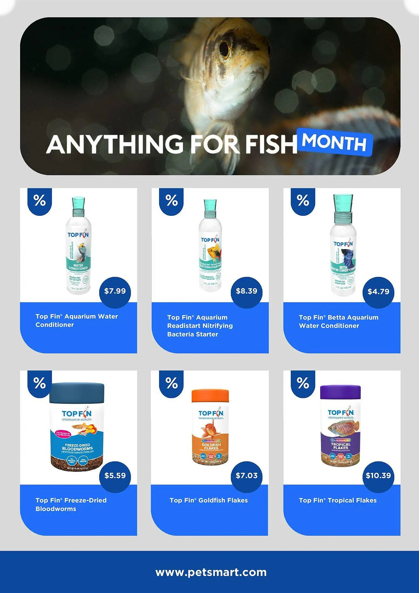  Catalog page 6 image 