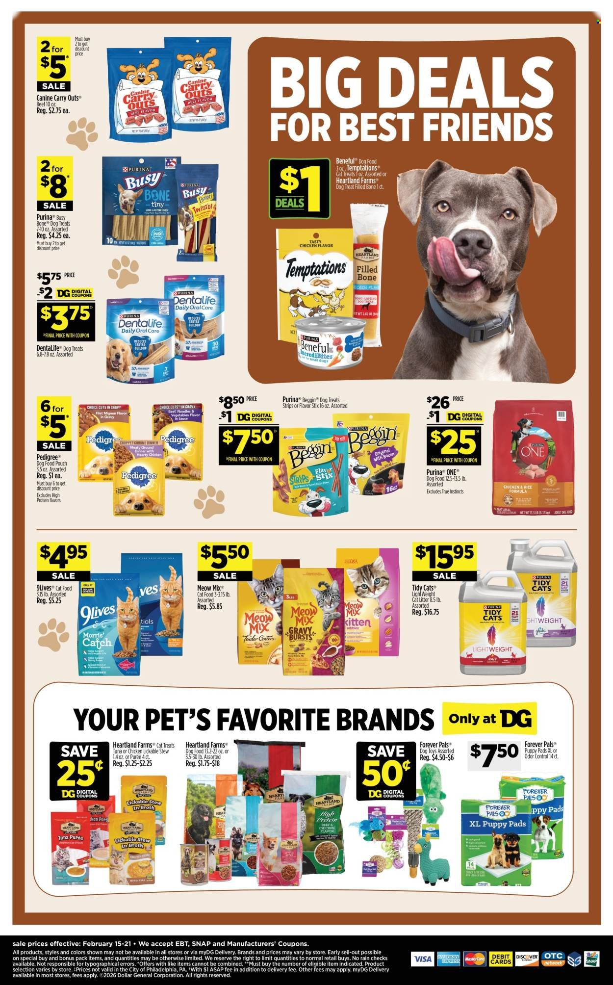 DOLLAR GENERAL ad - Page 13