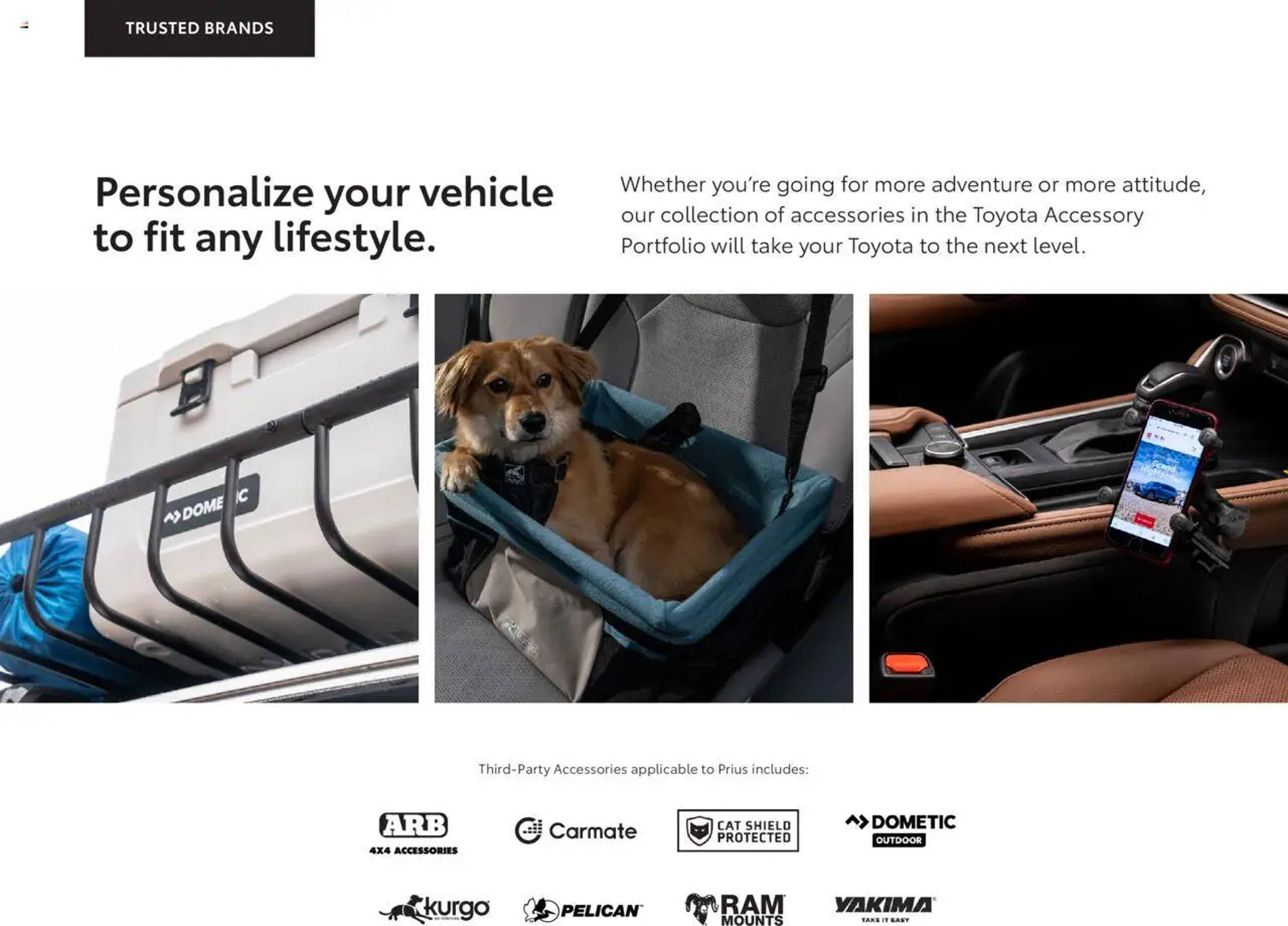  Catalog page 13 image 