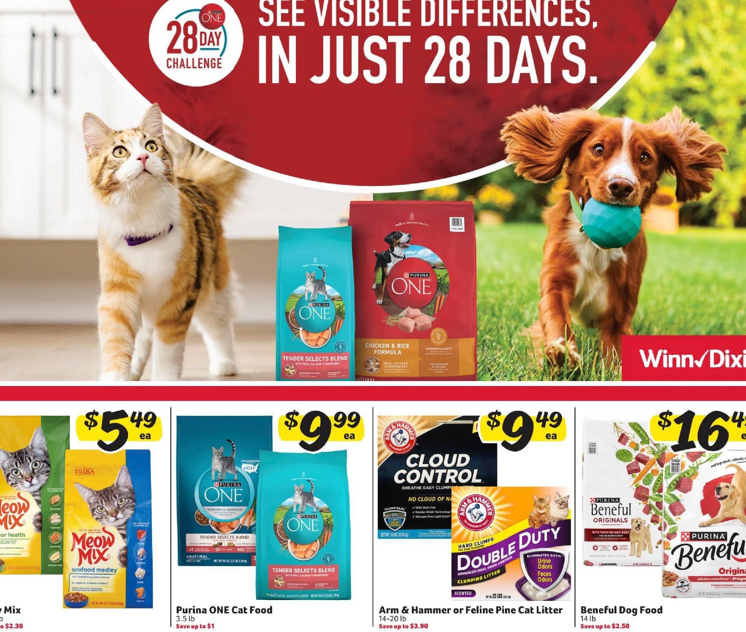  Catalog page 13 image 