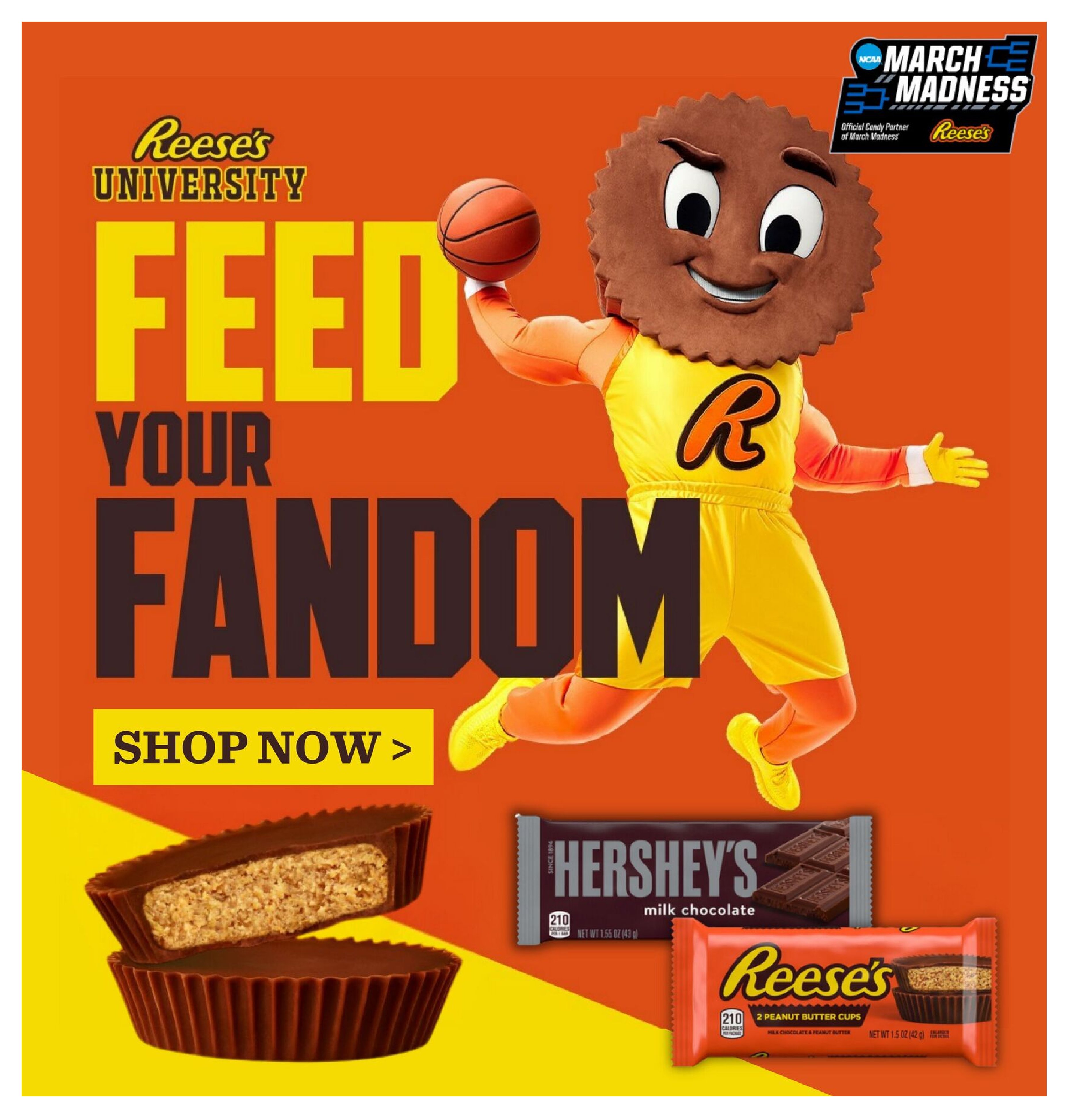  Catalog page 7 image 