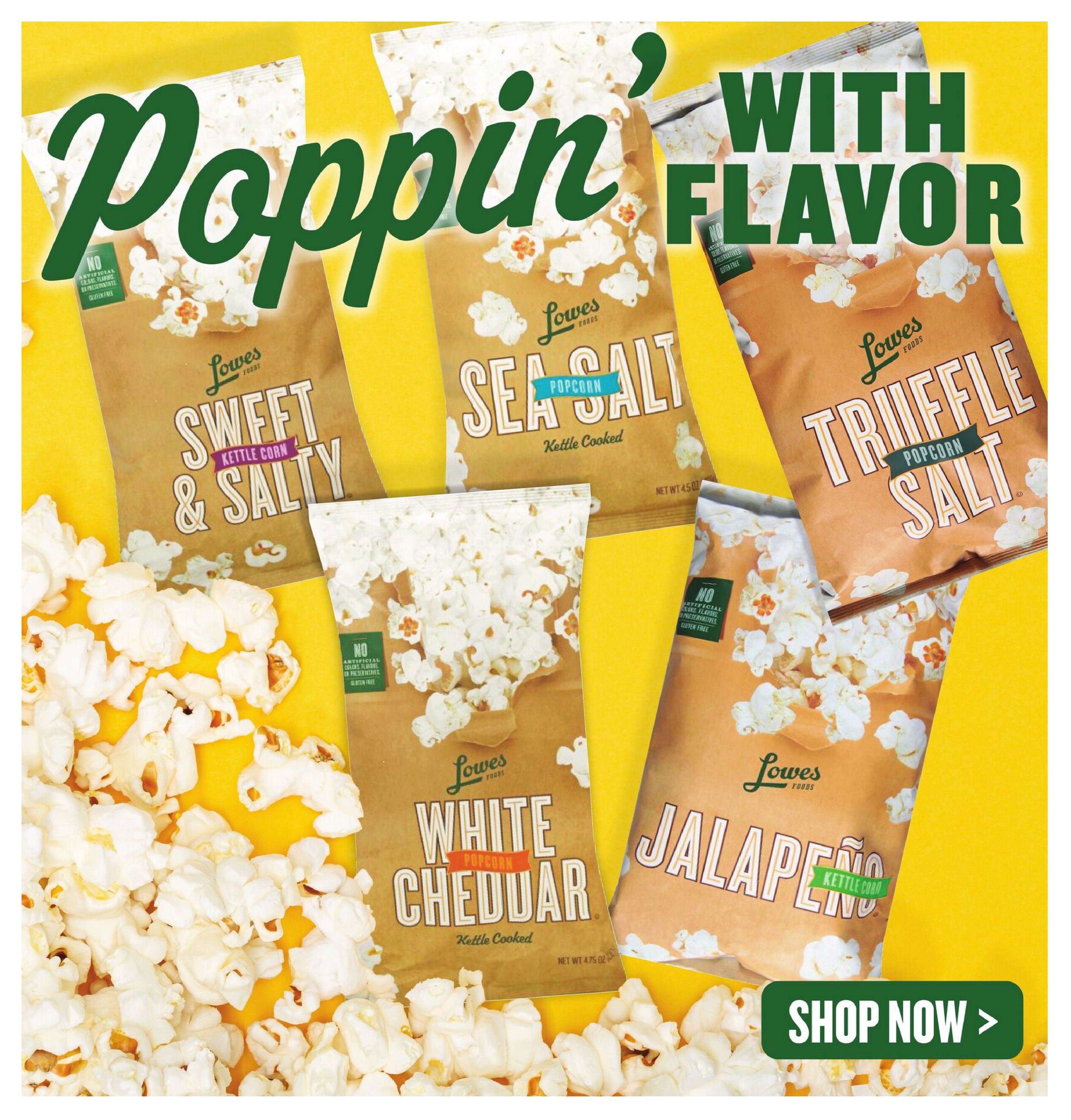  Catalog page 6 image 