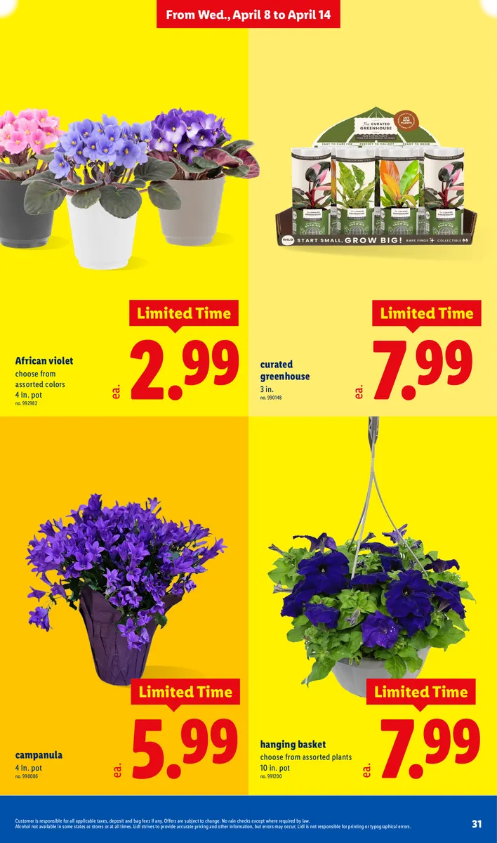 Savings on curated greenhouse hanging baskets, with disclaimers.