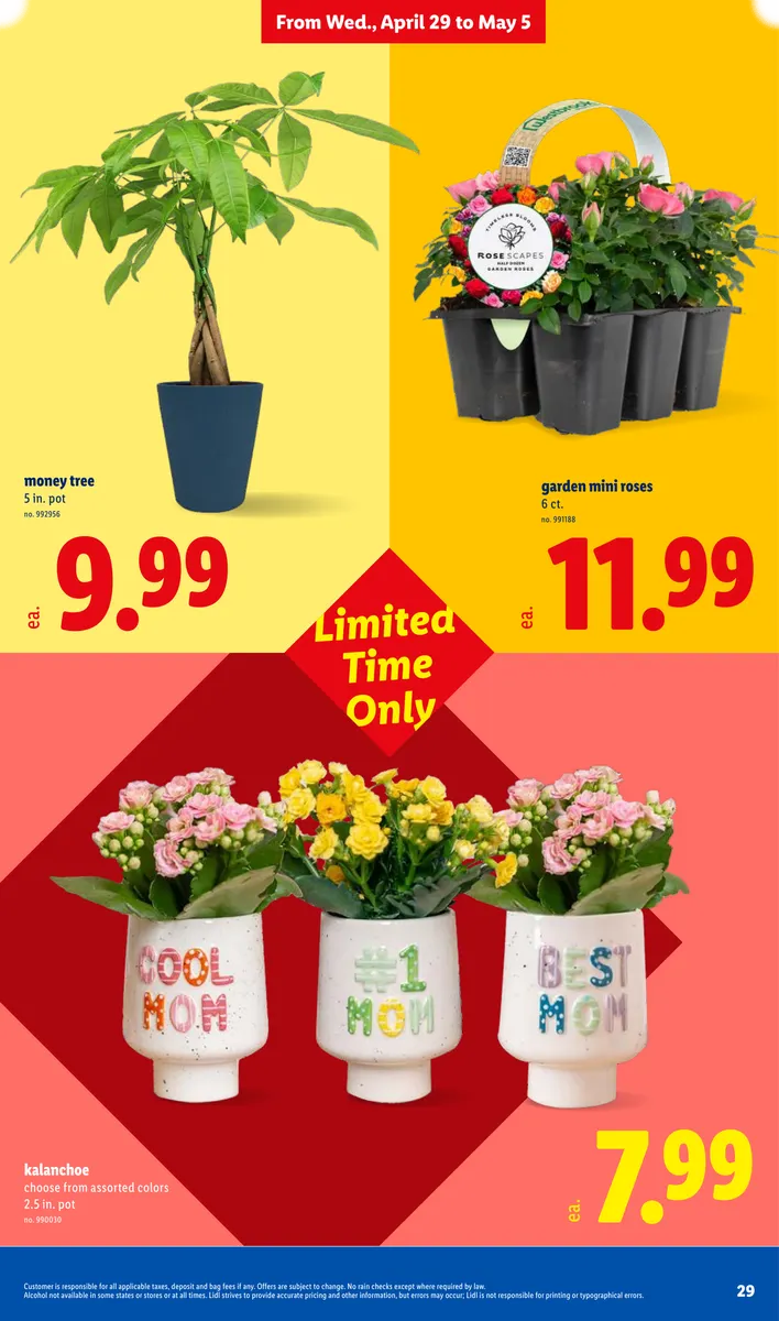 Weekly Ad - Page 29