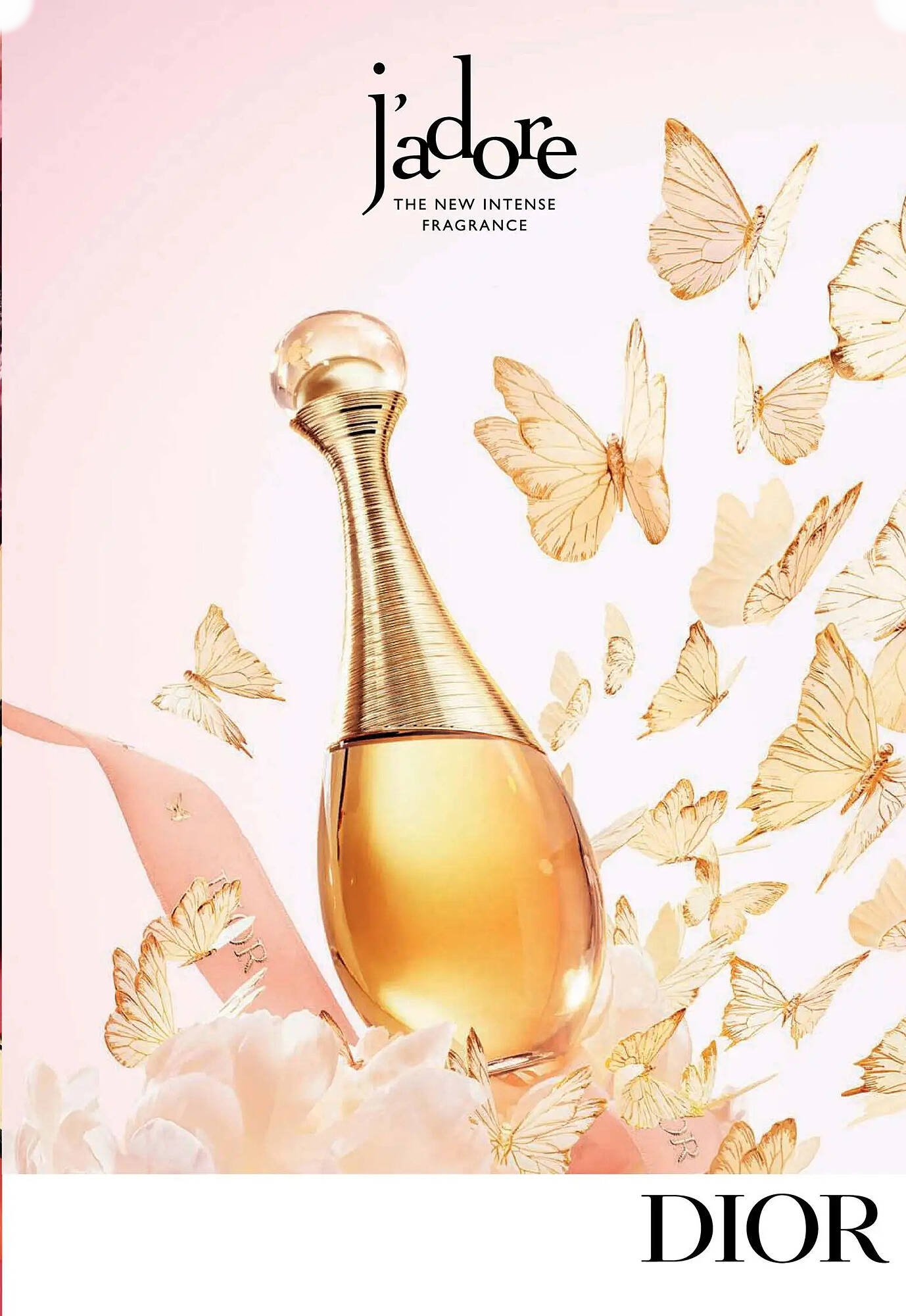  Catalog page 5 image 
