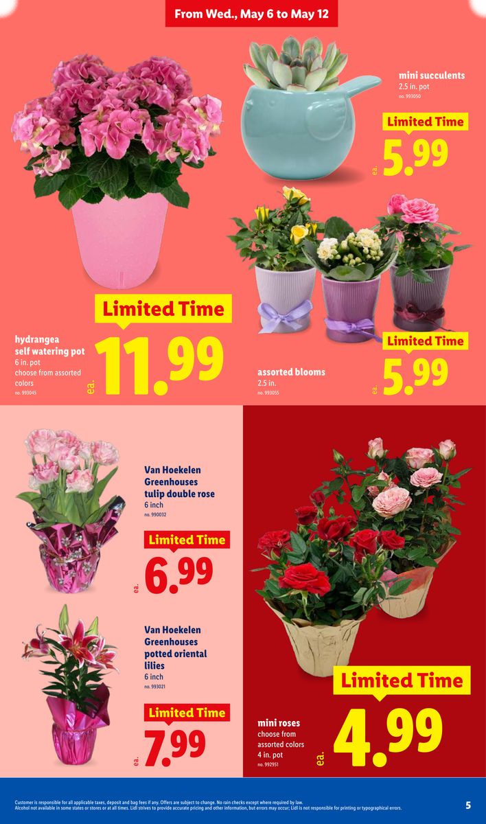 Weekly Ad - Page 5