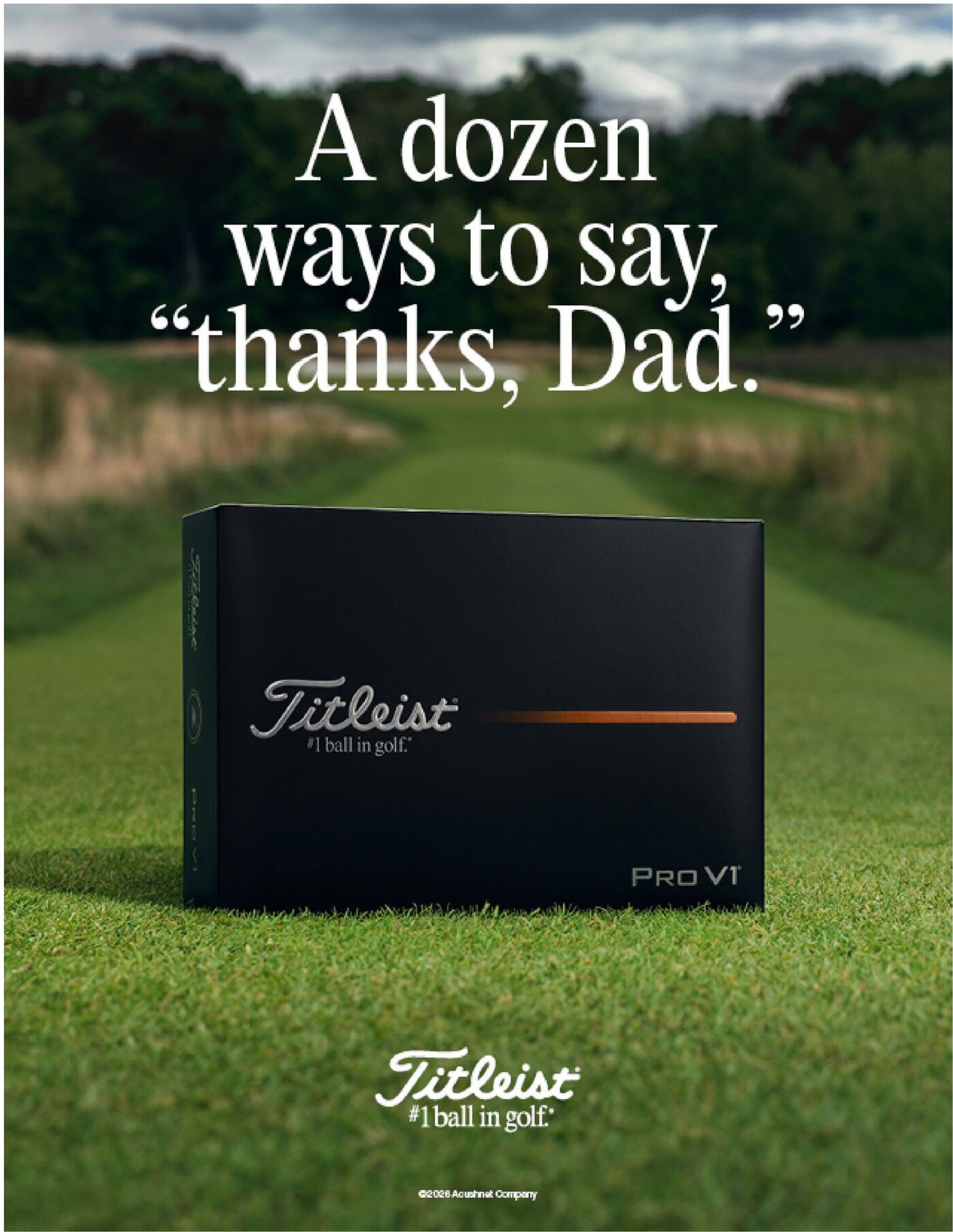 Father’s Day Gift Guide - Page 7