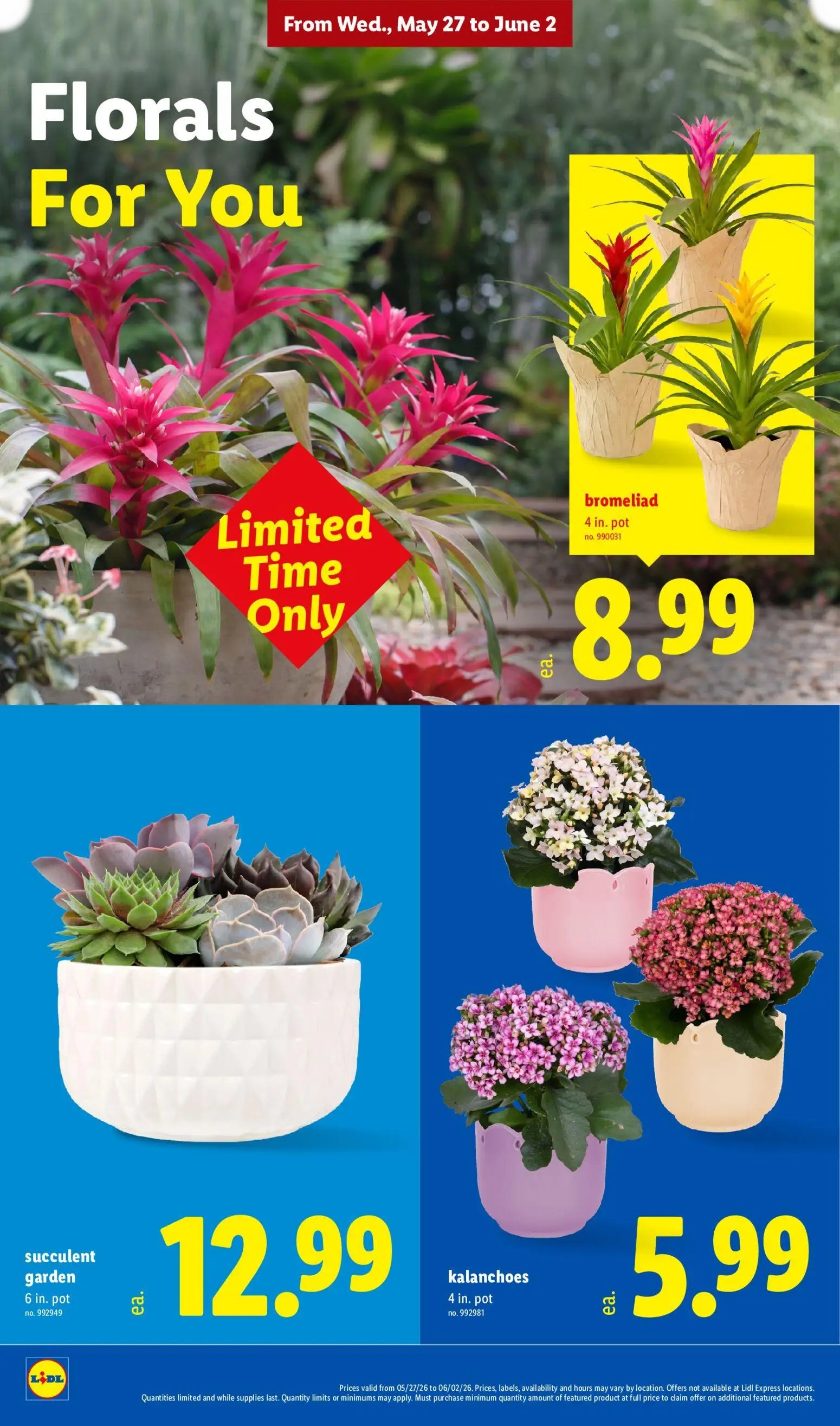 Lidl - Page 30