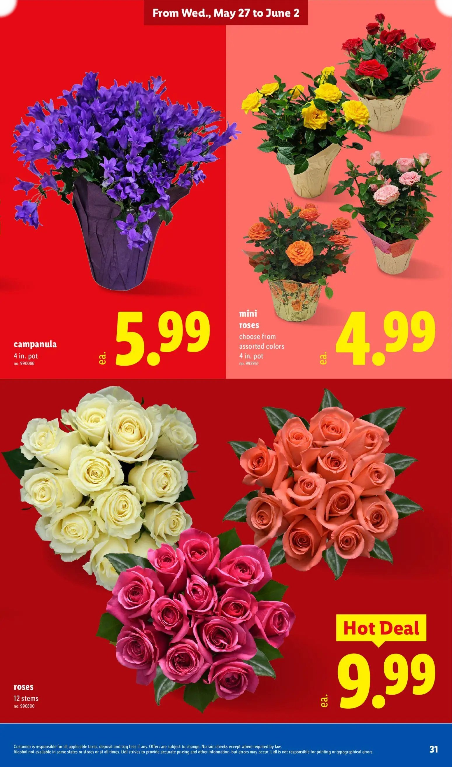 Lidl - Page 31