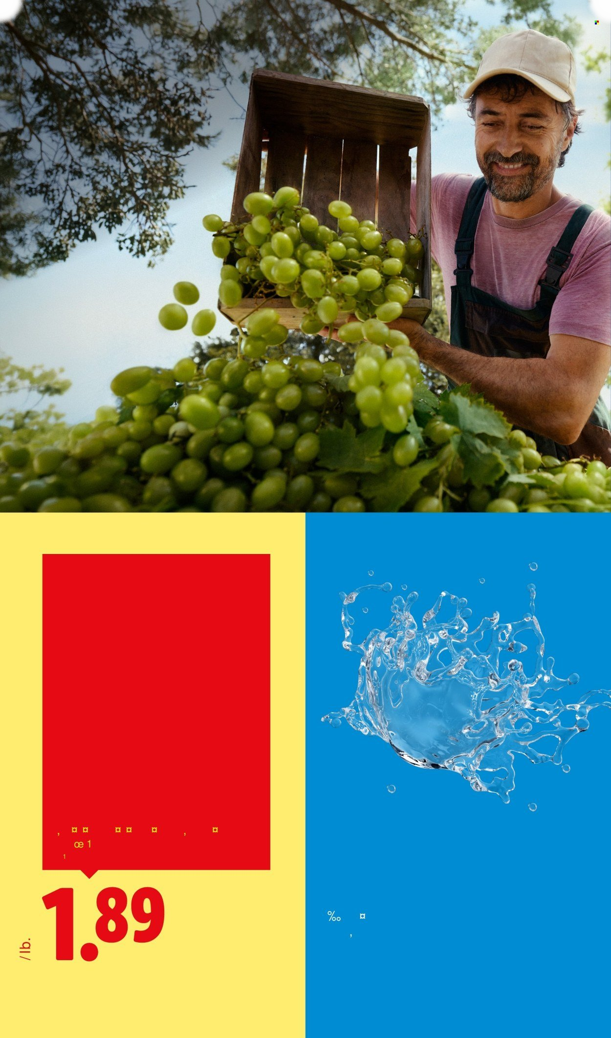 LIDL ad - Page 12