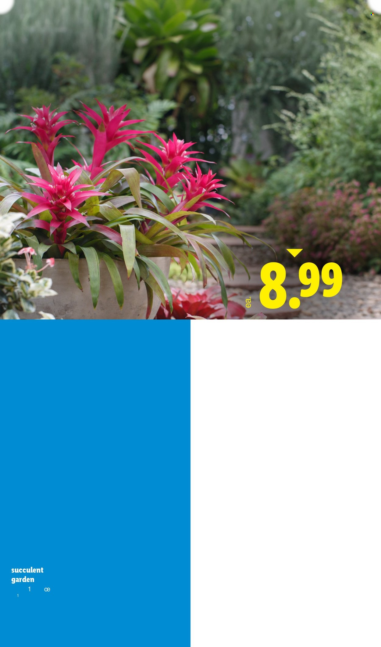 LIDL ad - Page 30