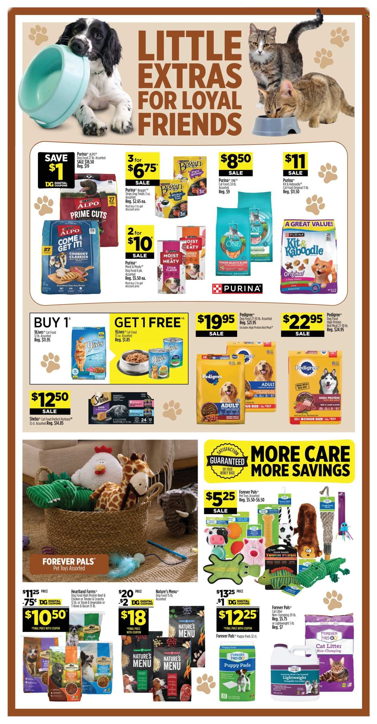 DOLLAR GENERAL ad - Page 15
