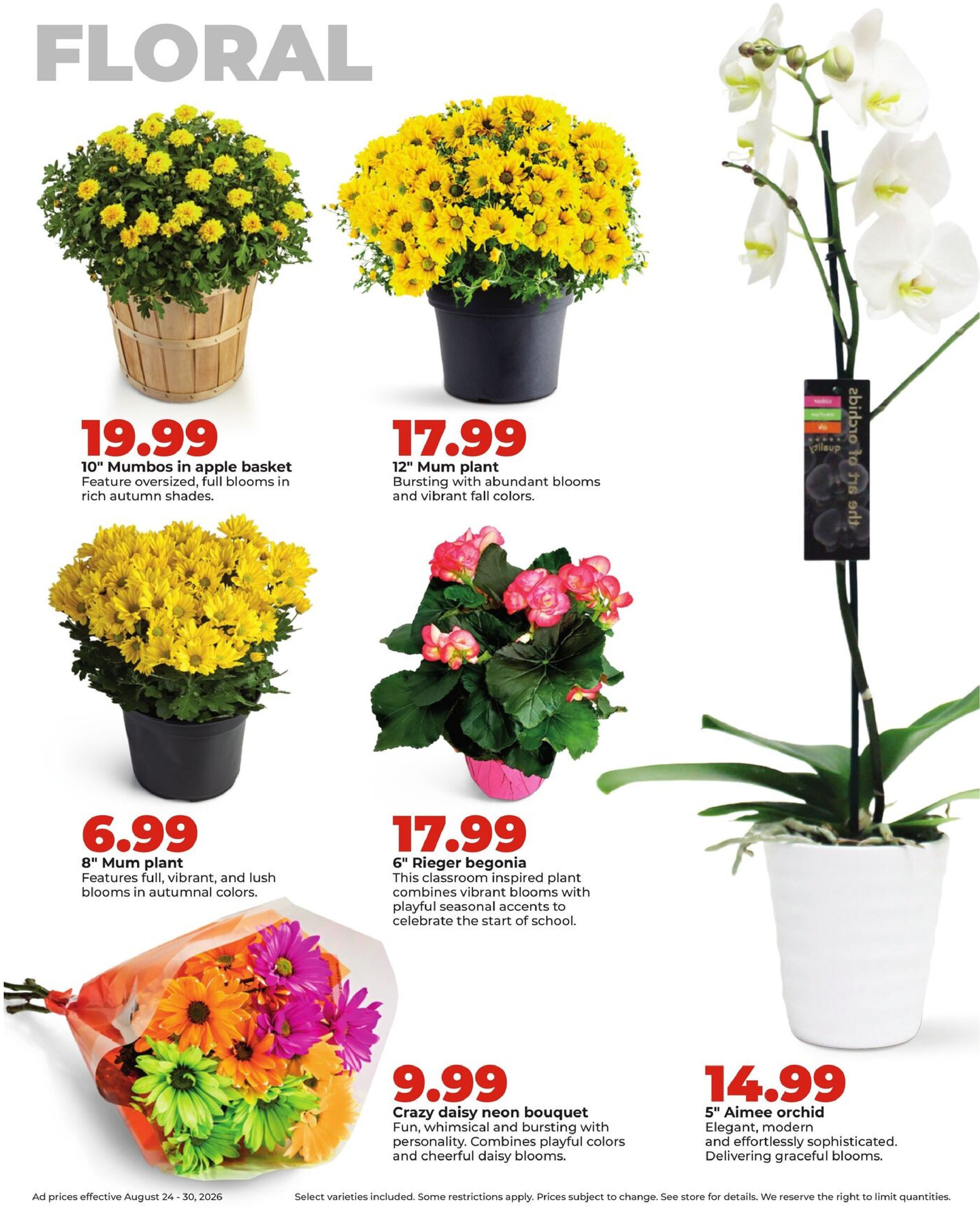  Catalog page 30 image 