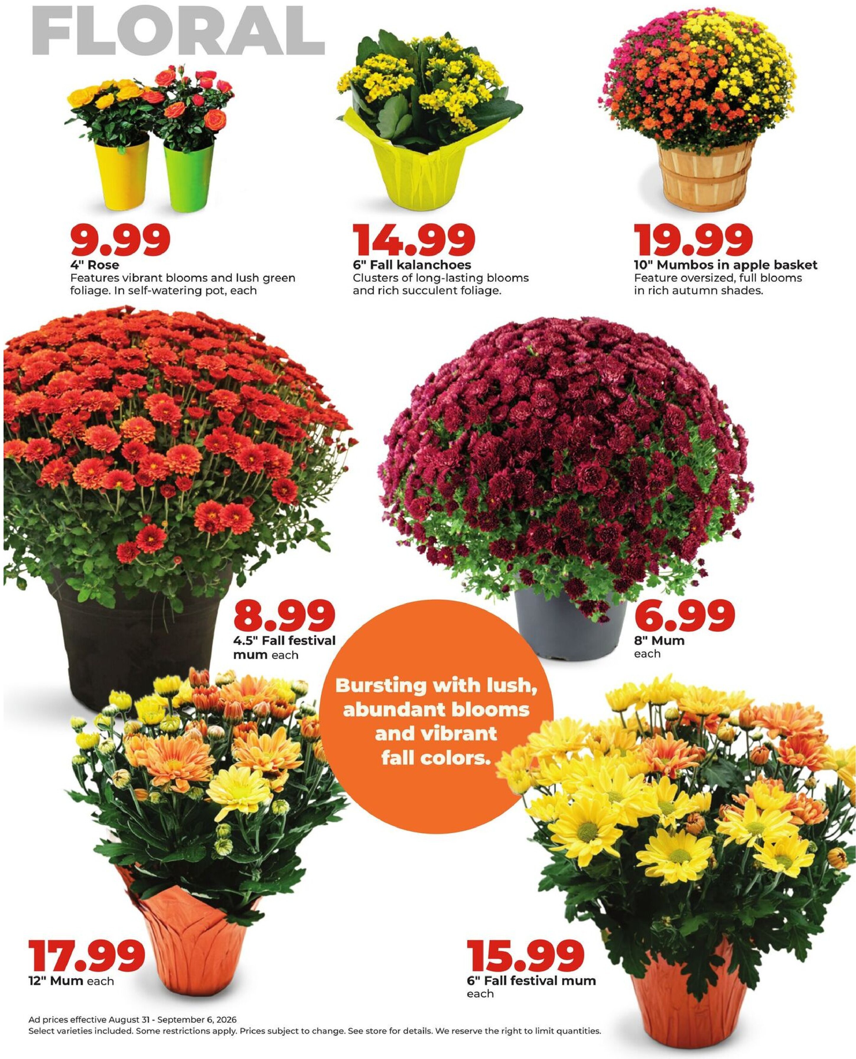 Weekly Ad - Page 37