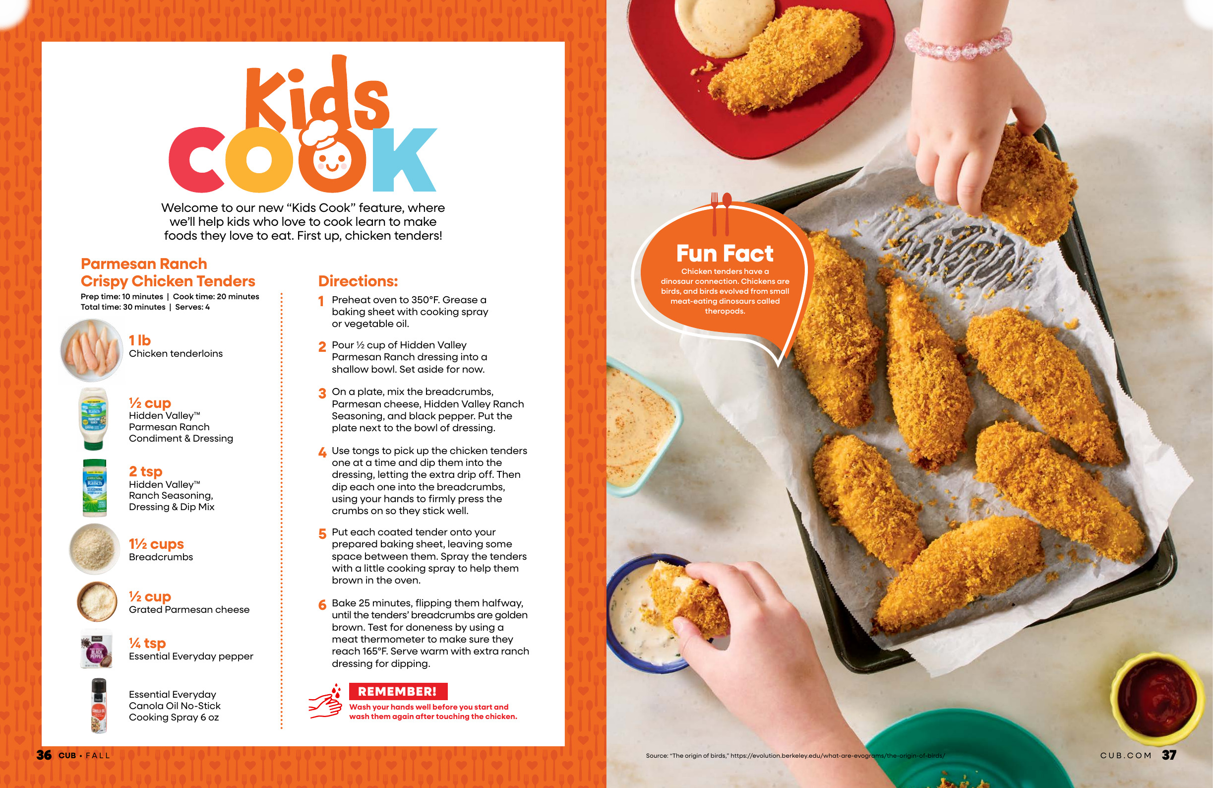 Fall Magazine - Page 19