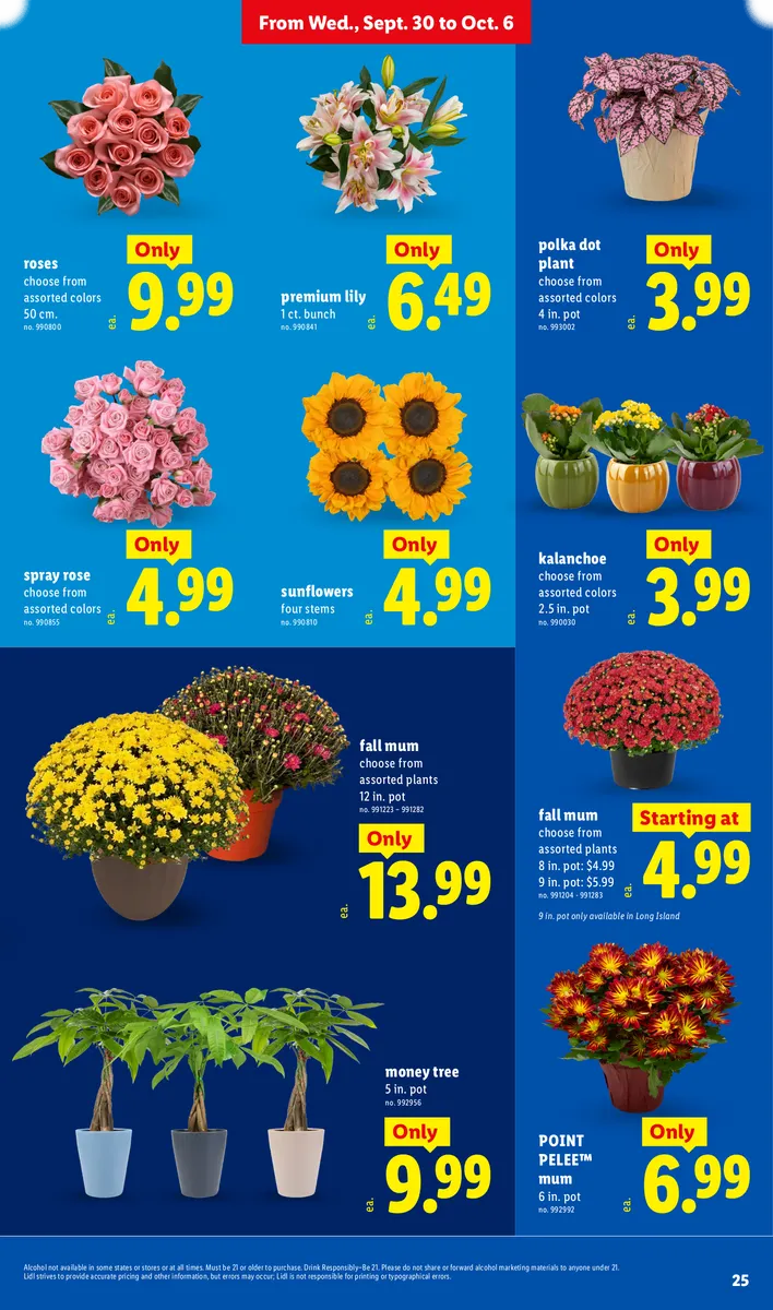 Weekly Ad - Page 25