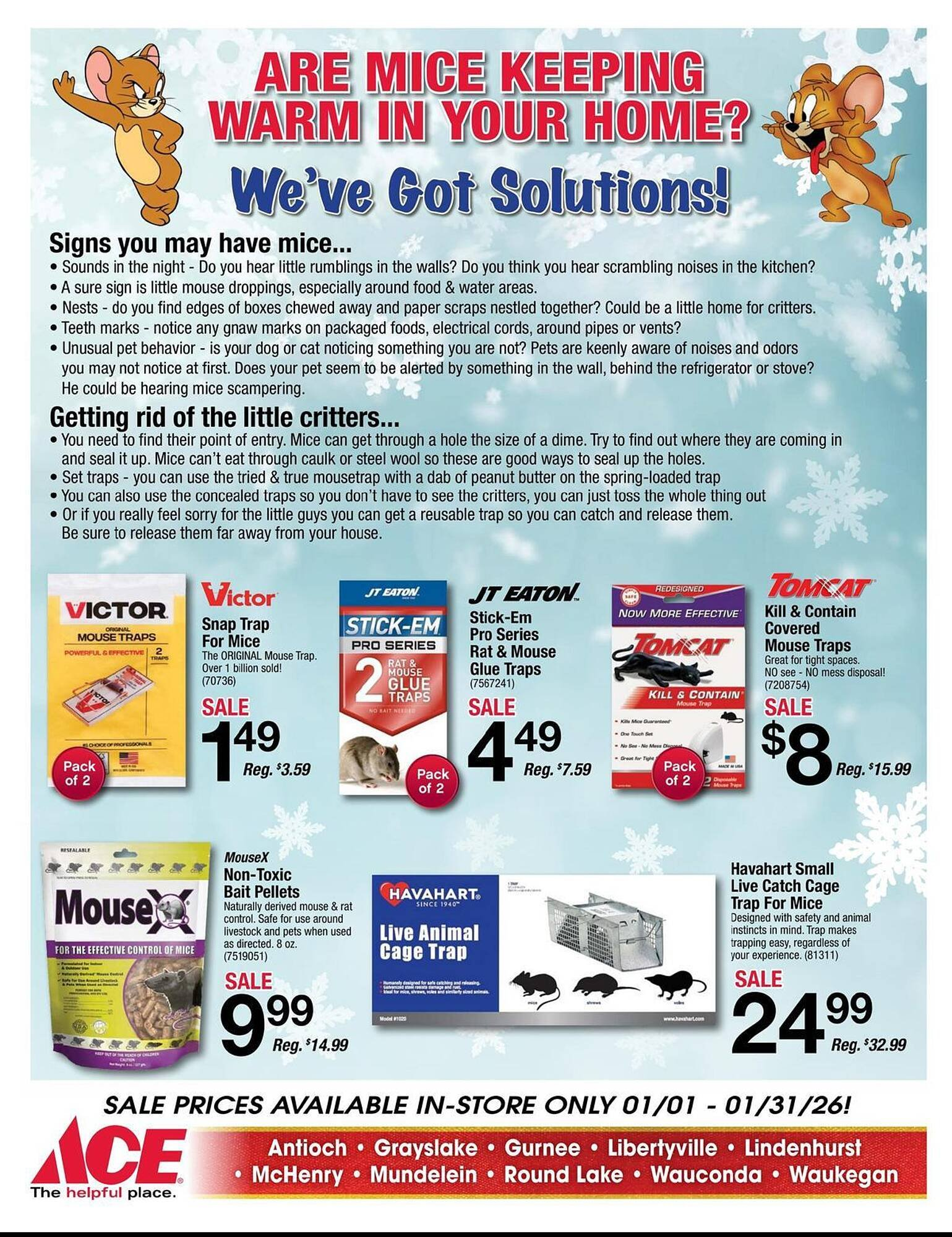 Ace Hardware flyer - Page 19