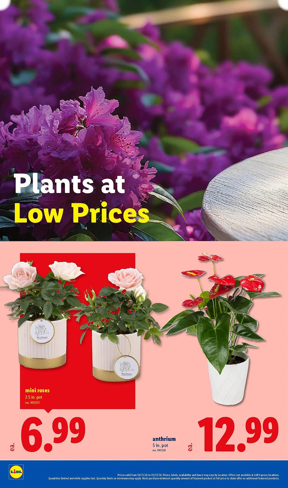  Catalog page 28 image 