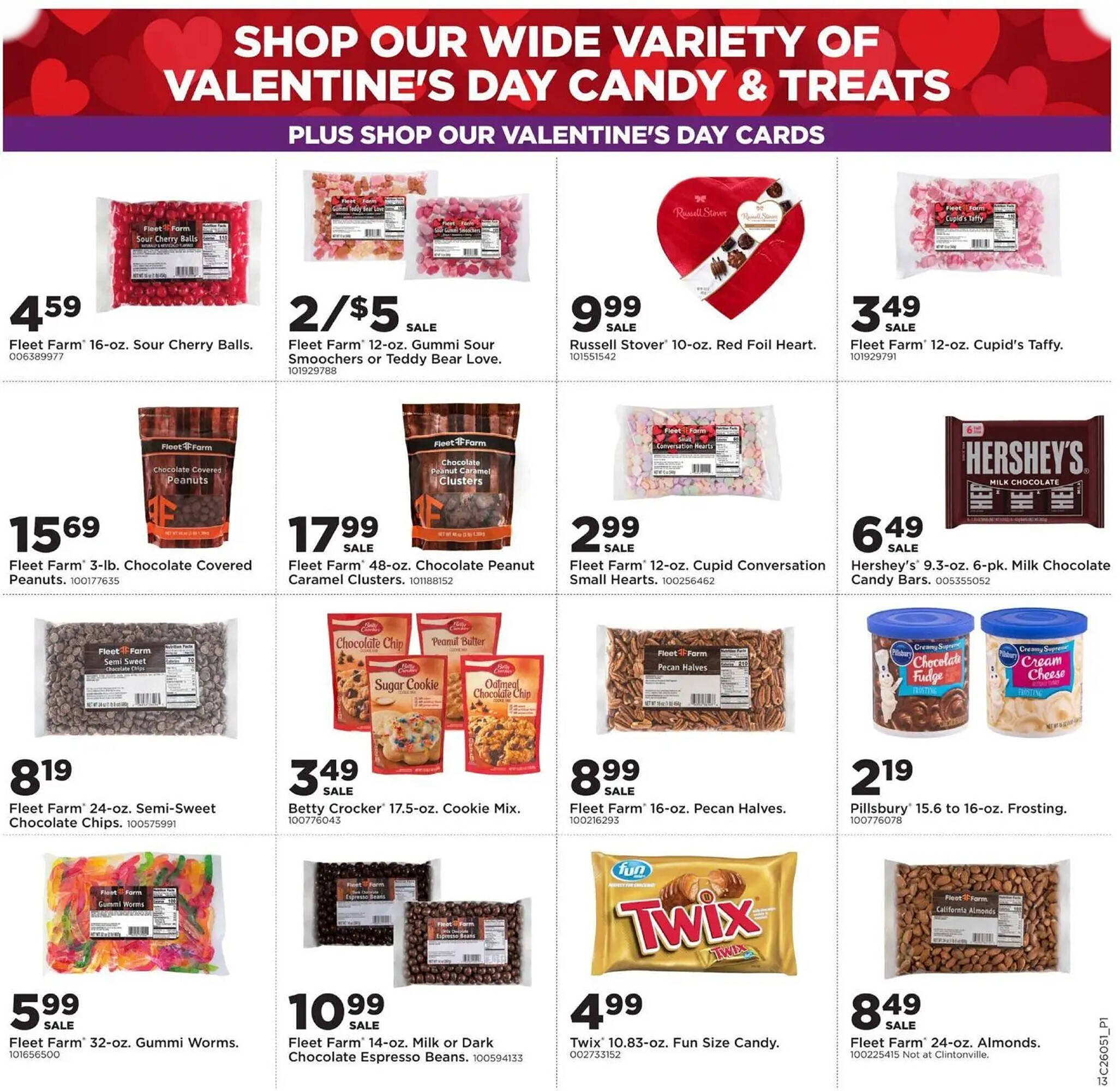 Mills Fleet Farm - Page 17