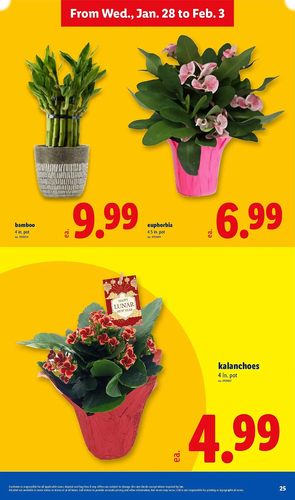 Lidl - Page 25
