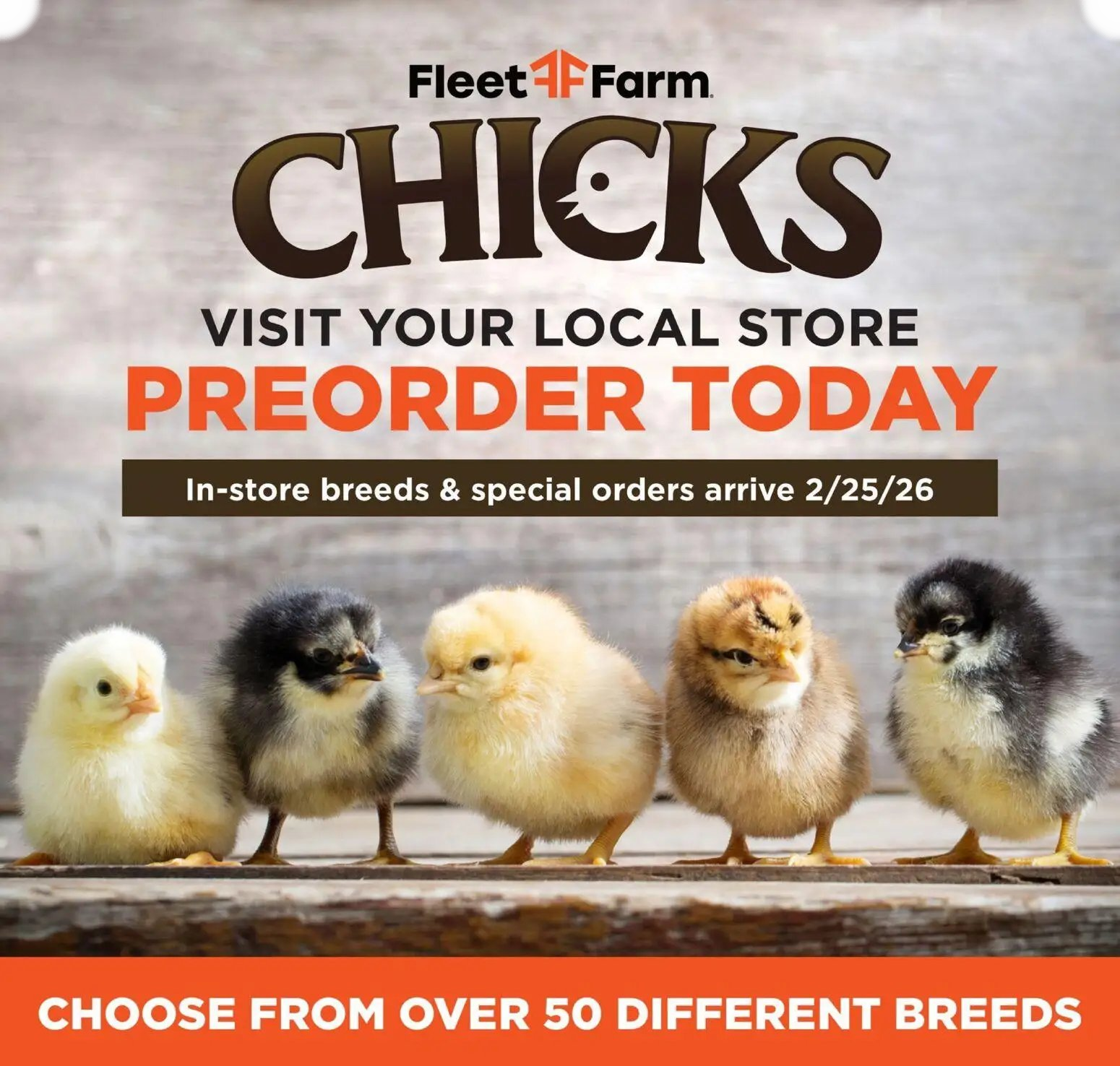  Catalog page 6 image 